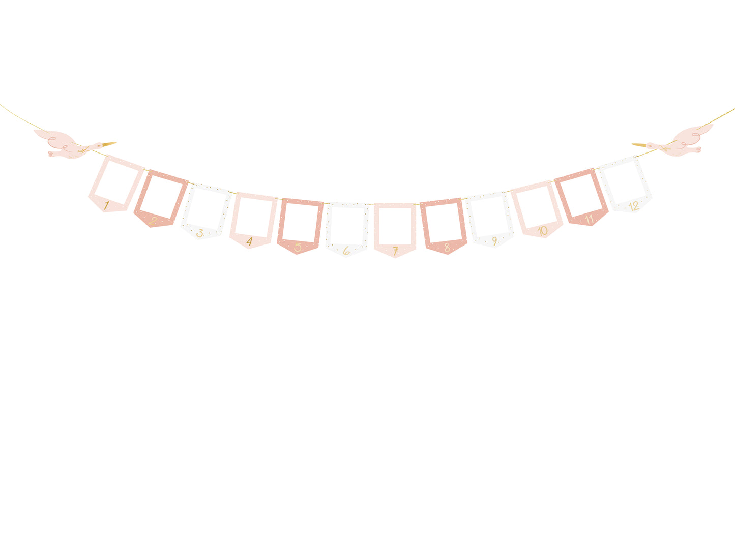 BABY'S FIRST YEAR BANNER - PINK