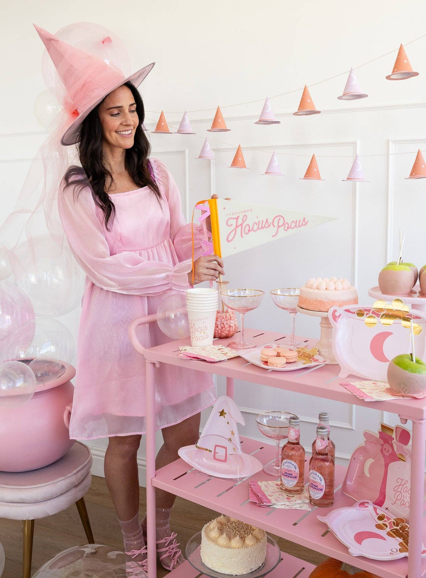 PINK WITCH HAT PLATES