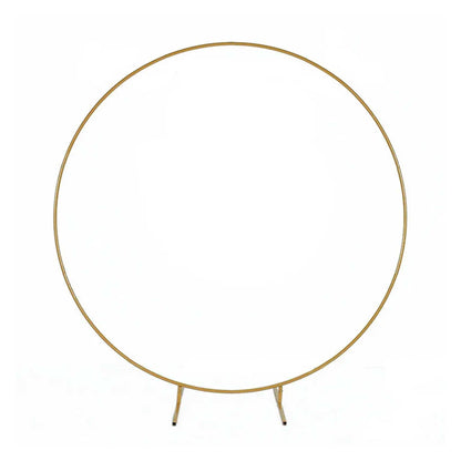 GOLD HOOP FRAME