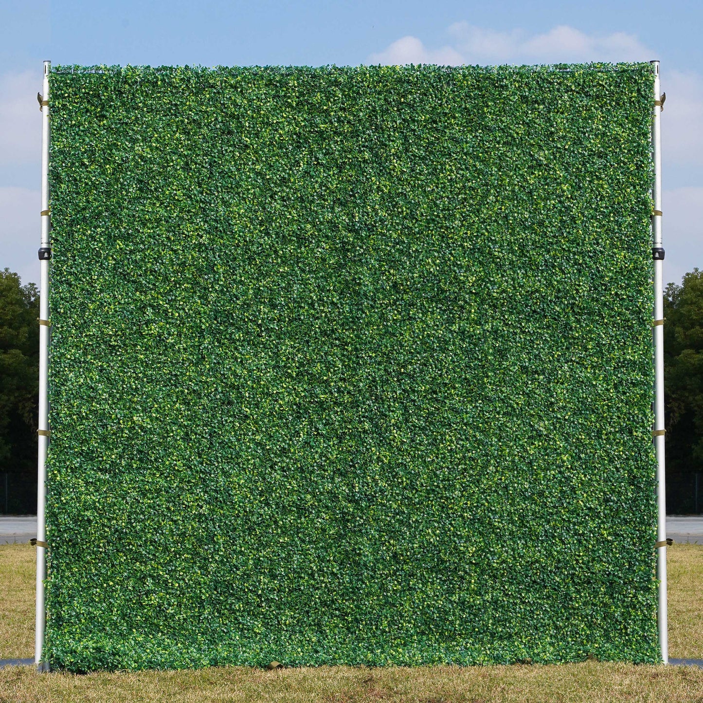 GREENERY BOXWOOD PANELS