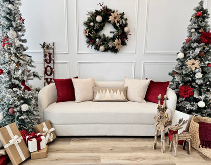 DIY HOLIDAY PHOTOS