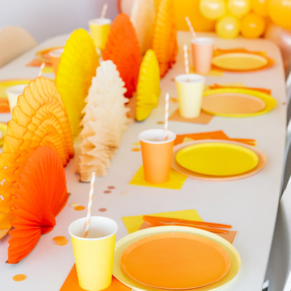 APRICOT ORANGE PLATES