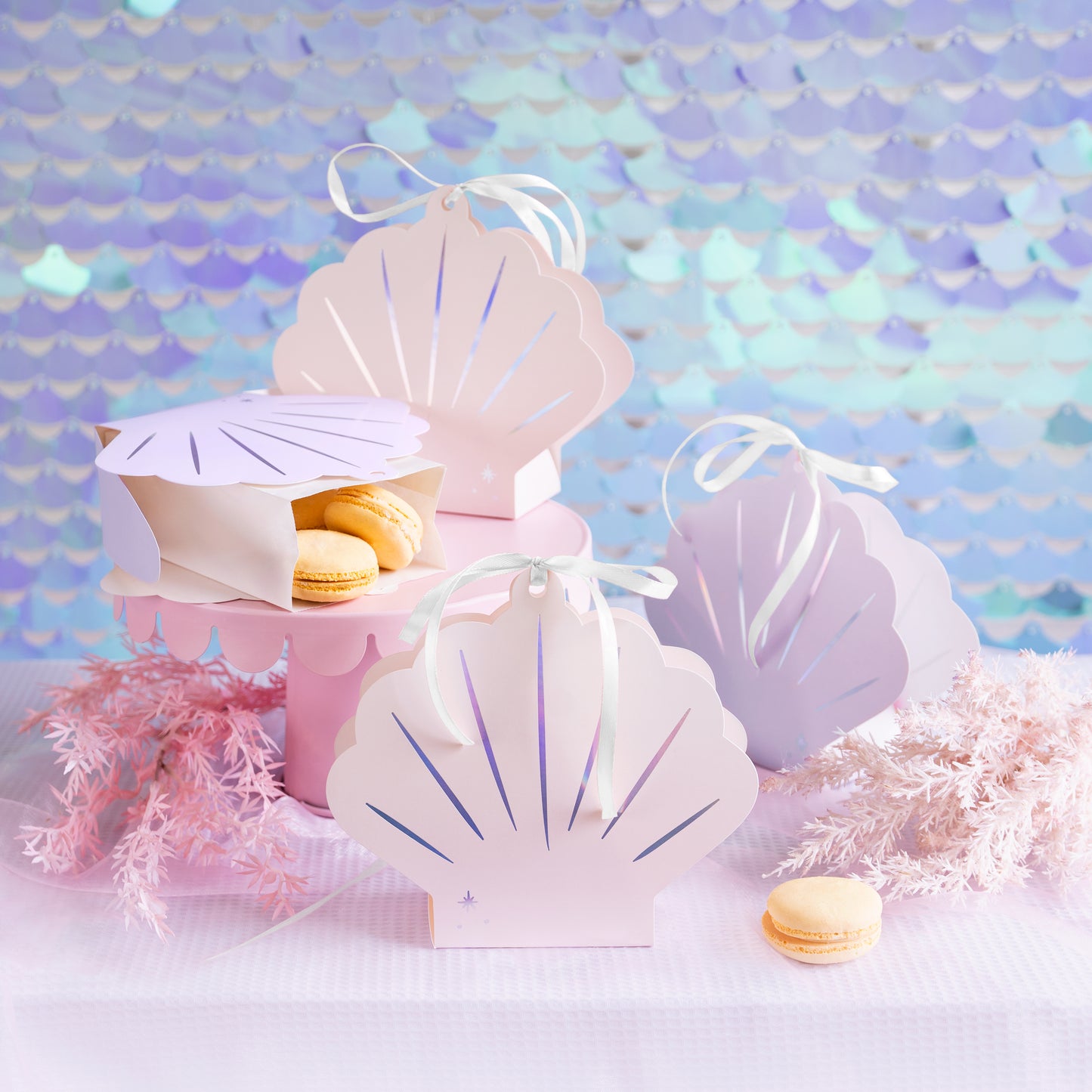 SEASHELL FAVOUR BOXES